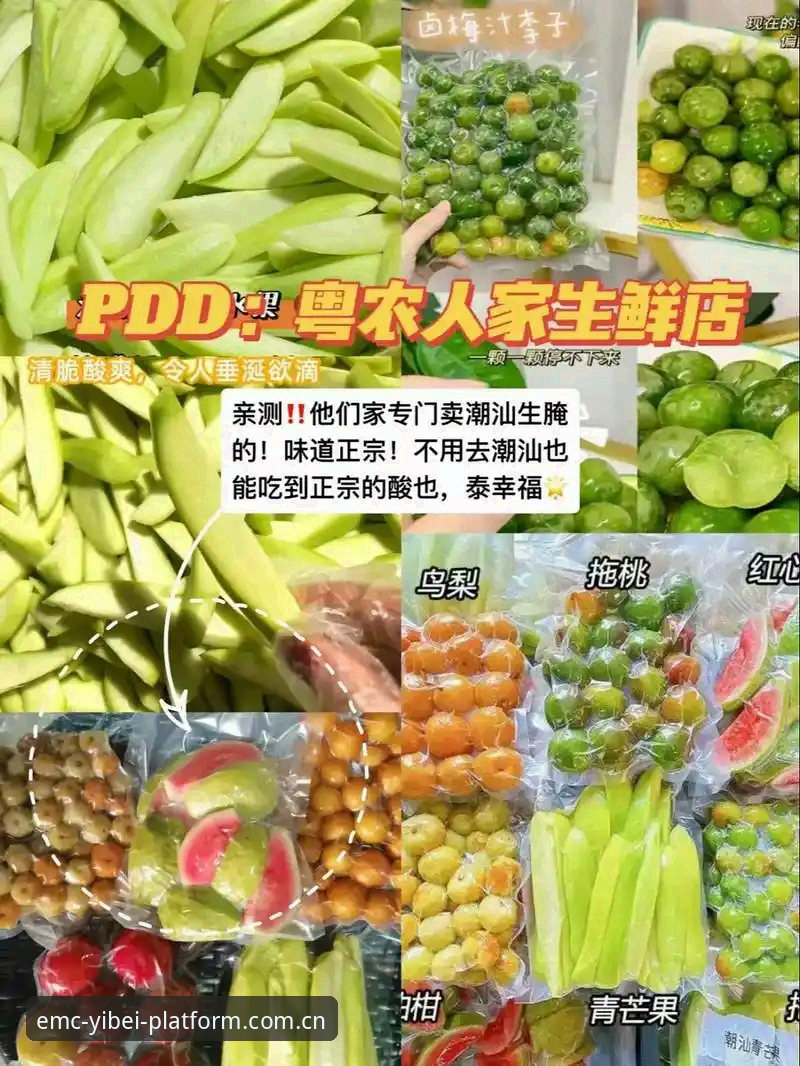 资深用户亲测：避开2026易倍综合平台官方网页登录的4个隐蔽陷阱，EMC数据流稳定秘诀全公开