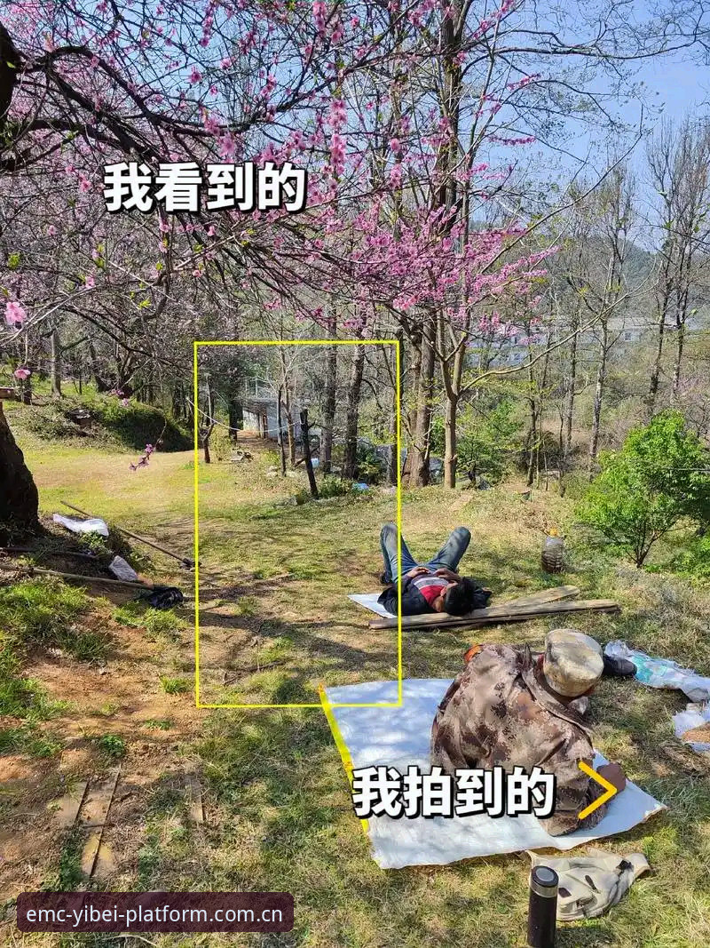 刚刚过去的赛季里，我注意到一个非常有意思的对比：那些在EMC赛事数据上下了功夫的玩家，整体决策速度比普通人快了至少一倍。这不是什么玄学，是实打实的操作习惯差异。我看过太多人，临到比赛开始前十分钟才慌慌张张打开手机找数据，结果什么都看不明白。今天这篇东西，我不跟你谈大道理，就说说怎么把这套数据真正用起来，以及那些你可能会踩的坑。